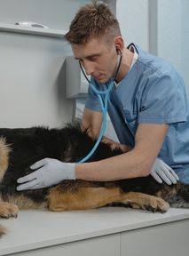 Zwierzęta odetchnęły z ulgą. W tym miejscu poczują się wyjątkowo