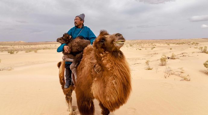 Mongolia. Pomiędzy niebem a ziemią