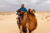 Mongolia. Pomiędzy niebem a ziemią