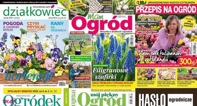 „Działkowiec” liderem sprzedaży w 2019 roku, „Mam Ogród” najbardziej w dół