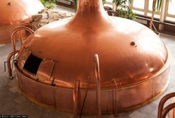 Browar w cenie warszawskiego lokum. Nietypowe ogłoszenie w sieci