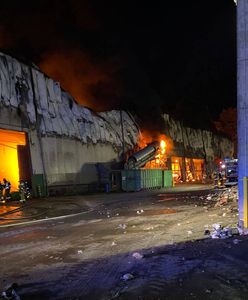 Spłonęła sortownia odpadów w Elblągu. Jedyna w mieście