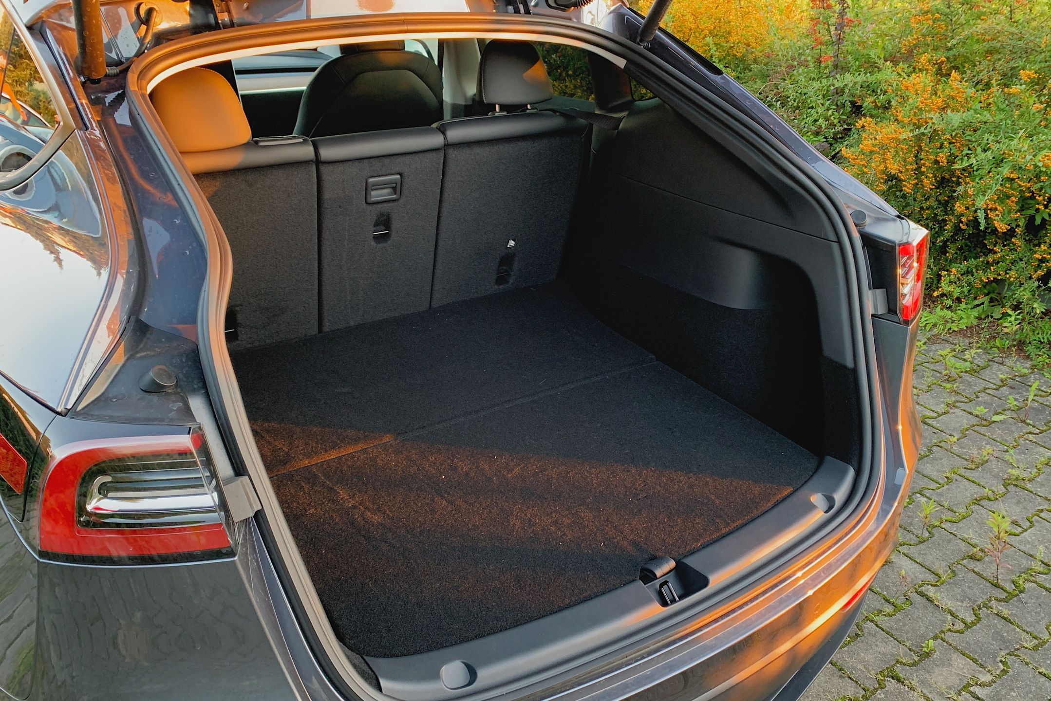 Zdjęcie ilustracyjne do artykułu