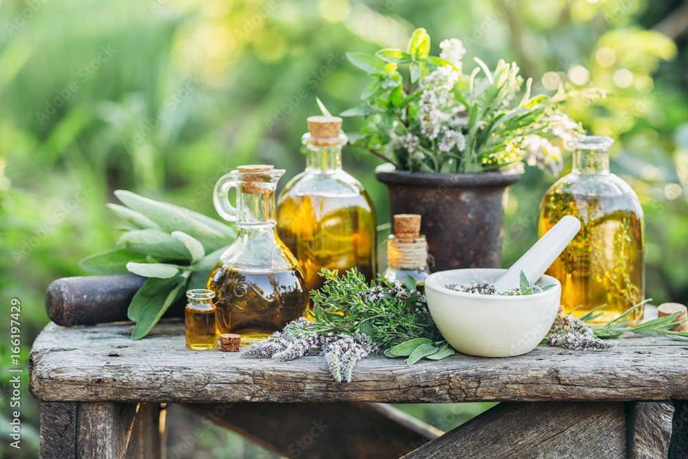 Warsztaty zielarskie w Ogrodzie Botanicznym – stwórz naturalny dezodorant i sól do kąpieli, poznaj tajniki aromaterapii i ziołowych rytuałów