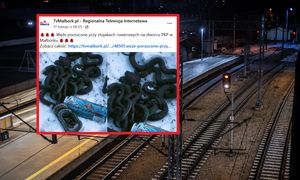 Taki widok na stacji PKP w Malborku. Sprawą zajmuje się policja