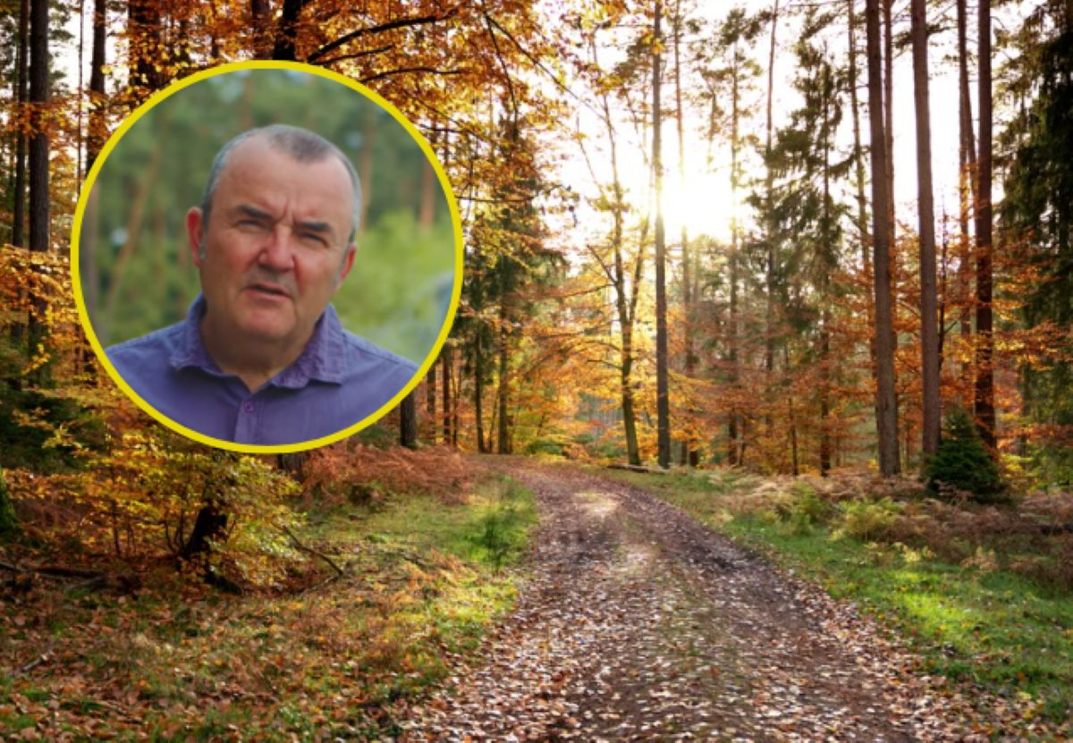 Klimatolog nie ma wątpliwości. Jesień może zaskoczyć temperaturami