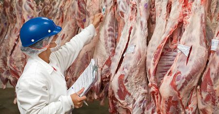 Pozwali Florydę przez sztuczne mięso. Chodzi o zakaz produkcji