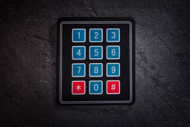 350252901543077825