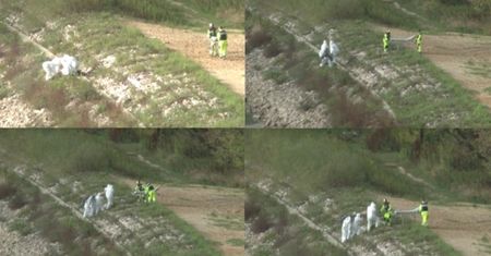 Z Wisły wyłowiono... człowieka-rybę? (FOTO + WIDEO)