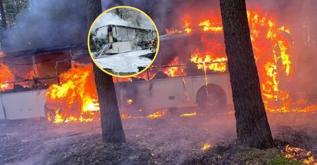 Wiózł 40 przedszkolaków. Kierowca autobusu zapobiegł tragedii