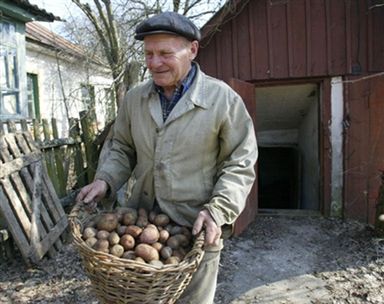 Obraz