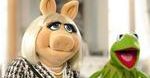 ''Muppety'': Kermit ma nową dziewczynę?