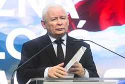 Zbożowe larum ma tylko jeden cel? "Chcą skubać Konfederację"