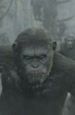 "Ewolucja planety małp": Ujęcia zza kulis
