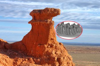 Znalezisko ma zaledwie 1 cm. "To po prostu cud"