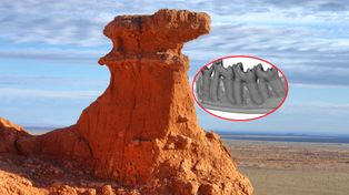 Znalezisko ma zaledwie 1 cm. "To po prostu cud"