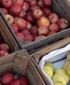 Dlaczego warto jeść jabłka?