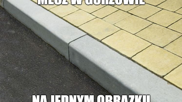 Zdjęcie okładkowe artykułu: 