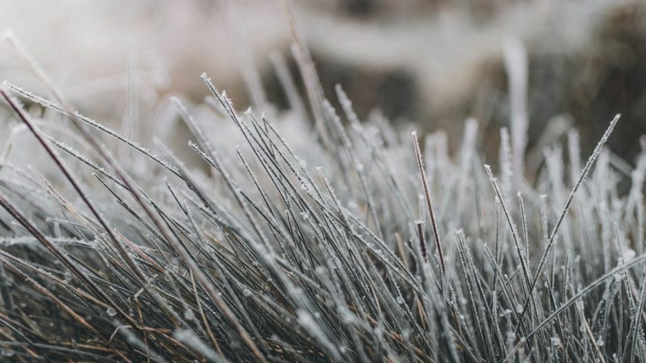 Mroźny poranek w Poznaniu i okolicach.