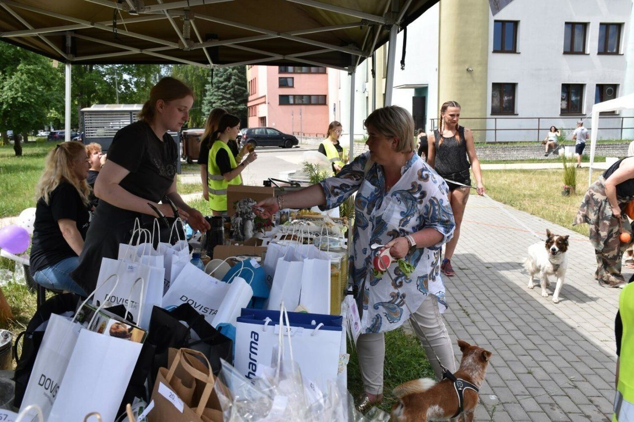 Piknik psów adoptowanych