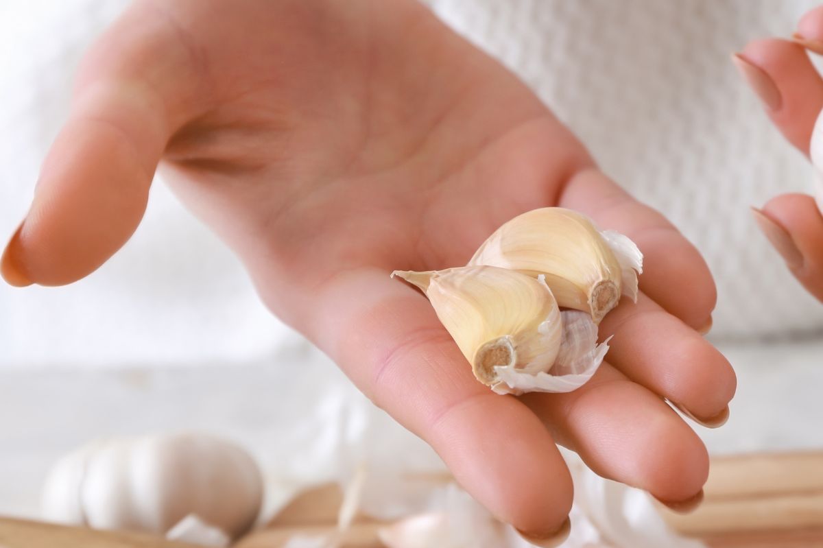 Peel garlic quick and easy: Discover Martha Stewart's genius kitchen hack