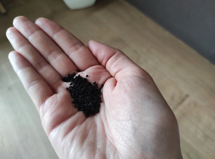 Czarnuszka może leczyć COVID-19? Obiecujące wyniki badań australijskich naukowców