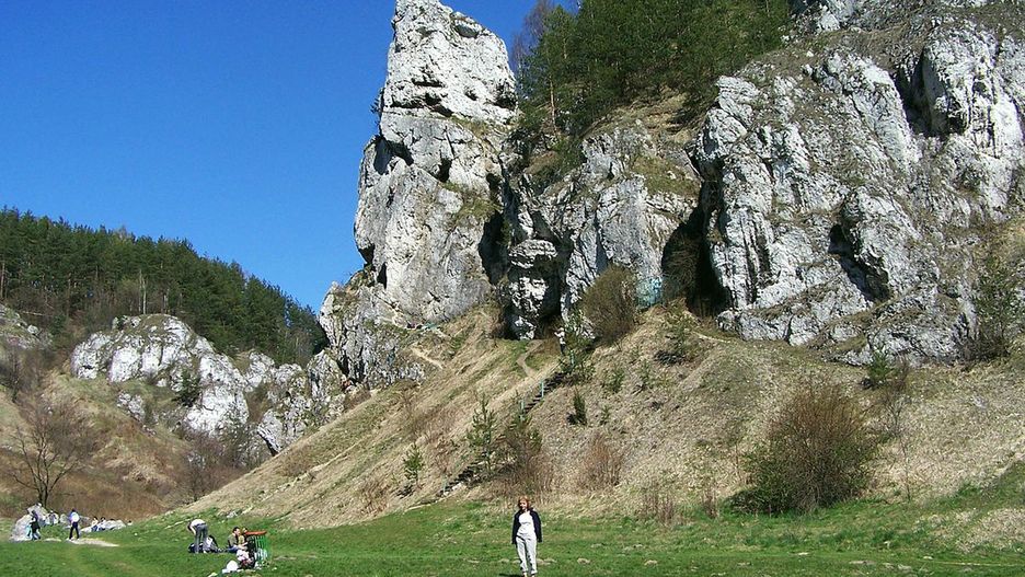 Dolina Kobylańska