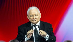 Wybory do PE. Polacy wydali werdykt. Jest nowy sondaż