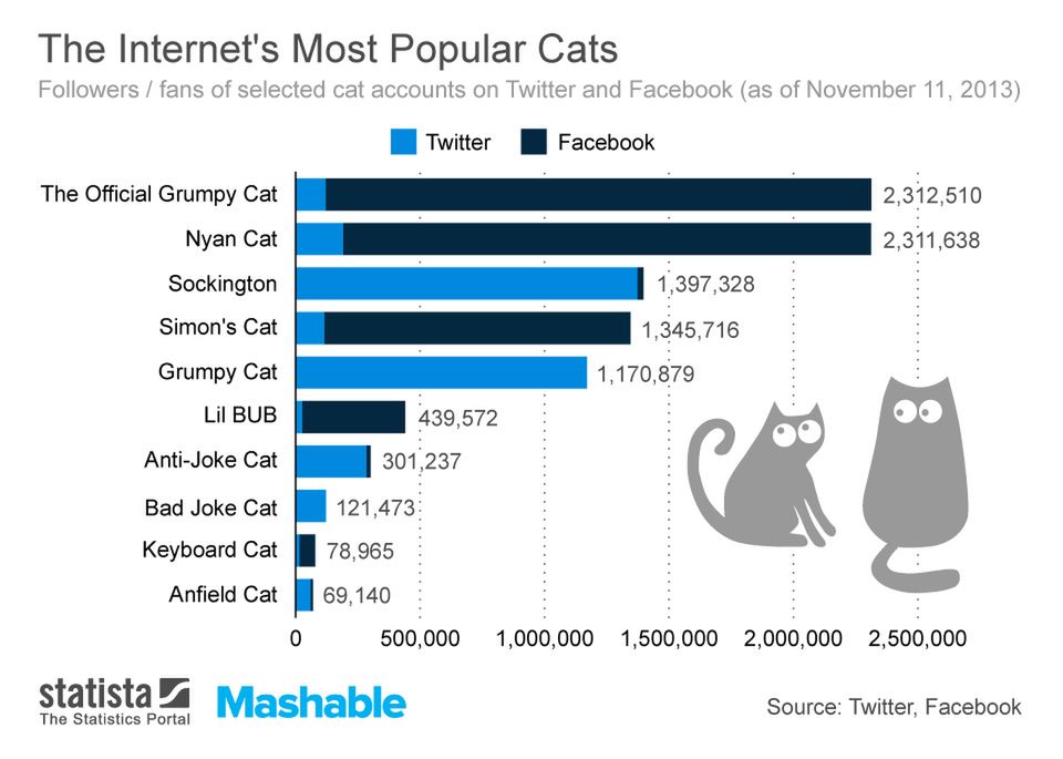 10 najpopularniejszych kotów Internetu. Daliście już im wszystkim lajka na Fejsie? 2