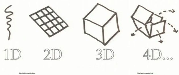 4D 3D 2D 1D