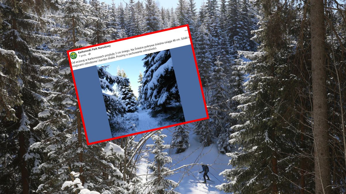 Powrót śniegu / Zdj. ilustracyjne 