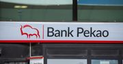 Inwestorzy doceniają rekordowe wyniki Pekao. Bank notuje silne wzrosty na warszawskim parkiecie