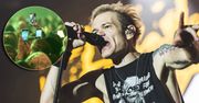Masowa KRADZIEŻ telefonów na polskim koncercie legendy rocka? Mamy relacje rozwścieczonych fanów
