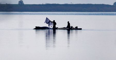Użyją poduszek powietrznych i plandeki. Tak chcą ratować humbaka z Bałtyku