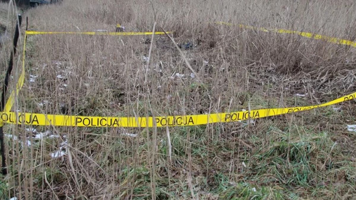 Miejsce znalezienia czaszki