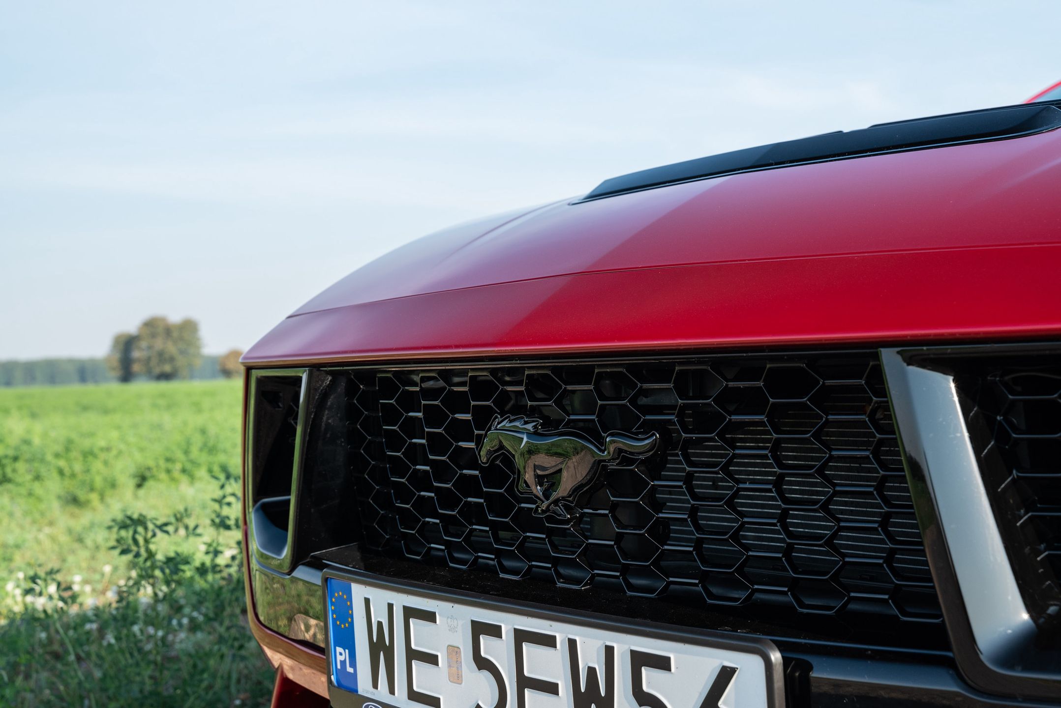 Ford Mustang GT Convertible