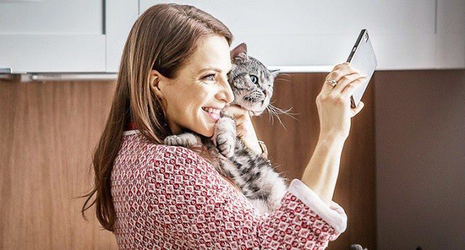 „Koty i zaloty” nowym miniserialem Polsatu. Anna Dereszowska i Marcin Perchuć w rolach głównych