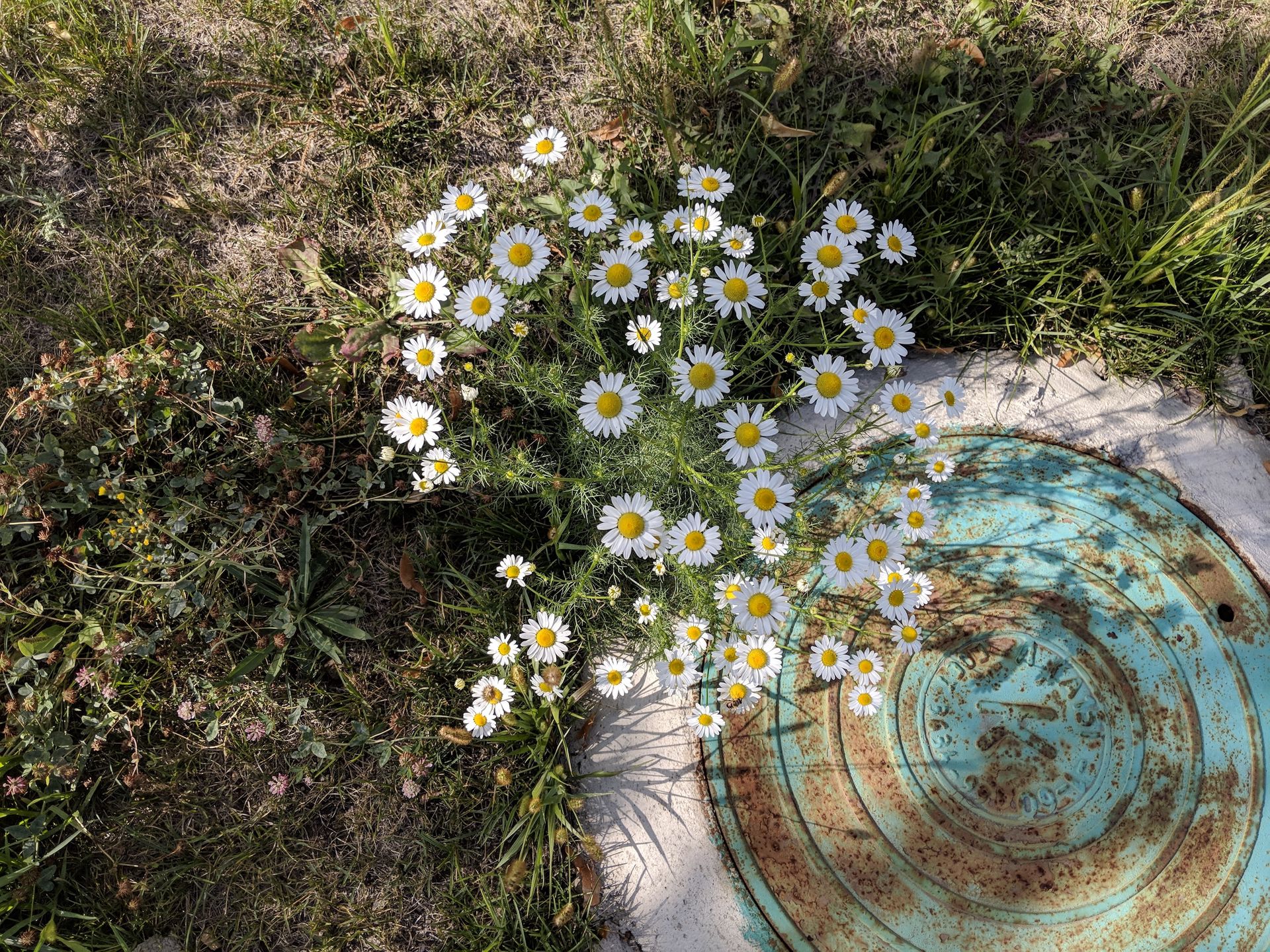 Google Pixel 3: podsumowanie przecieków 20