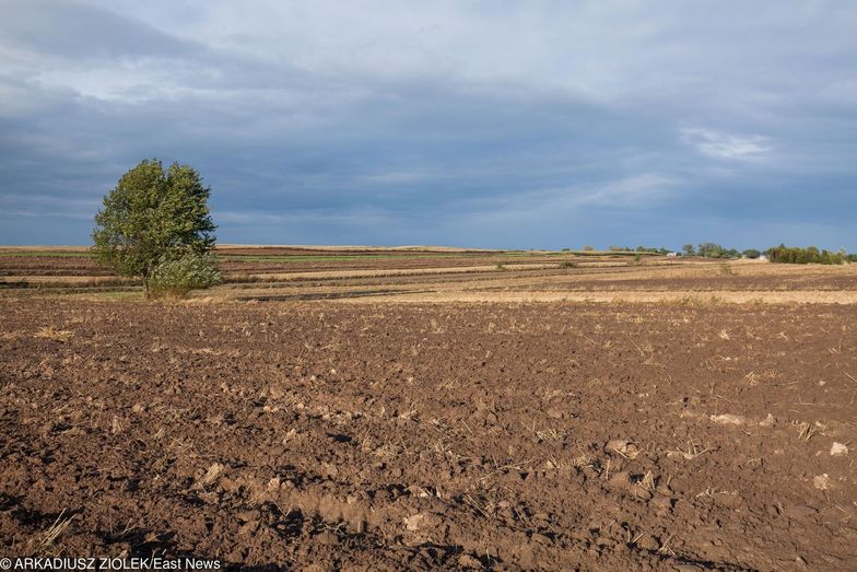 Polska sucha jak Afryka