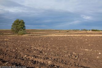 Ustawa o obrocie ziemią do zmiany. Każdy będzie mógł kupić hektar