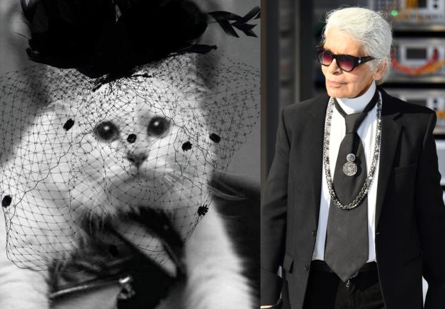 Kotka Lagerfelda "napisała list" do Karla... "Niech pamięć o moim tatusiu na zawsze żyje w jego pracy"