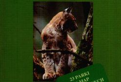 Kłopoty miłosne popłacają