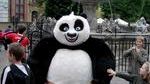 Kung Fu Panda