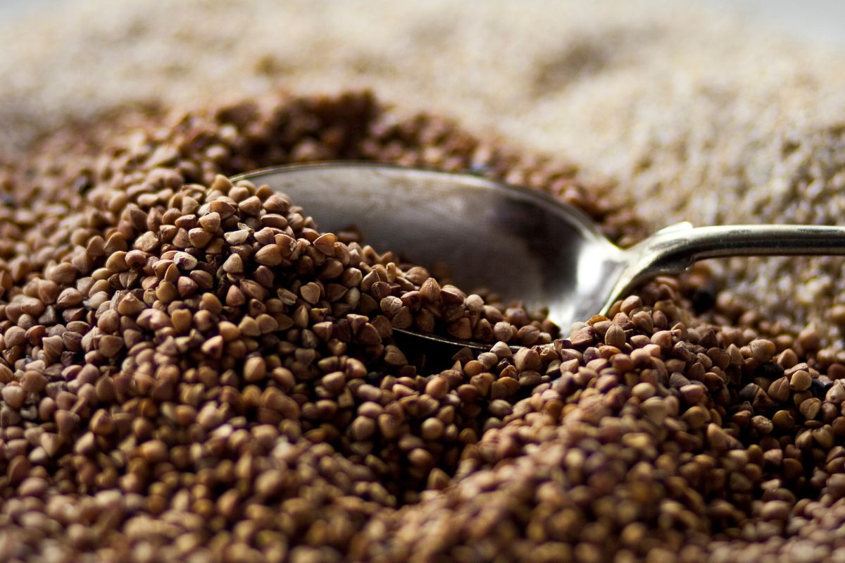 Don't throw away expired buckwheat—turn it into fertilizer