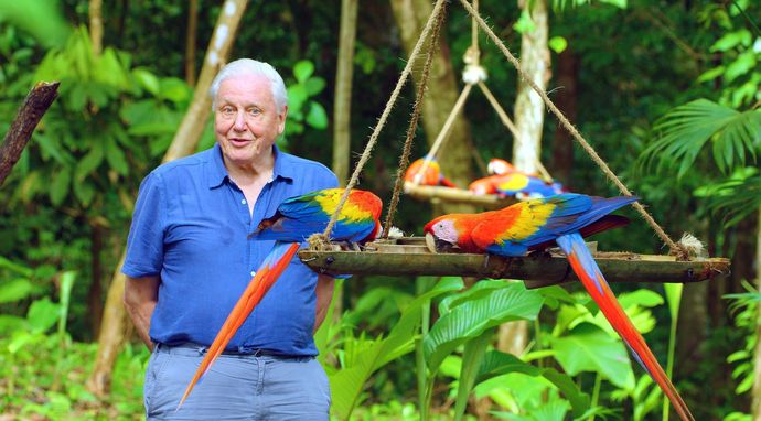 David Attenborough: życie w kolorze