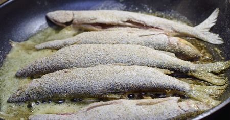 To polski skarb. Żyje w naszych najczystszych wodach, ma delikatne i chude mięso, a jej nie doceniamy