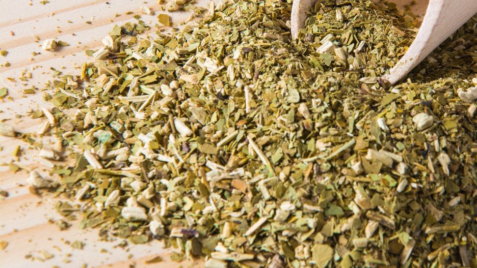 Czy warto pić yerba mate?