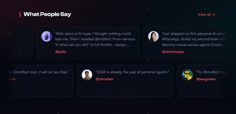 Moltbot zbiera pozytywne opinie