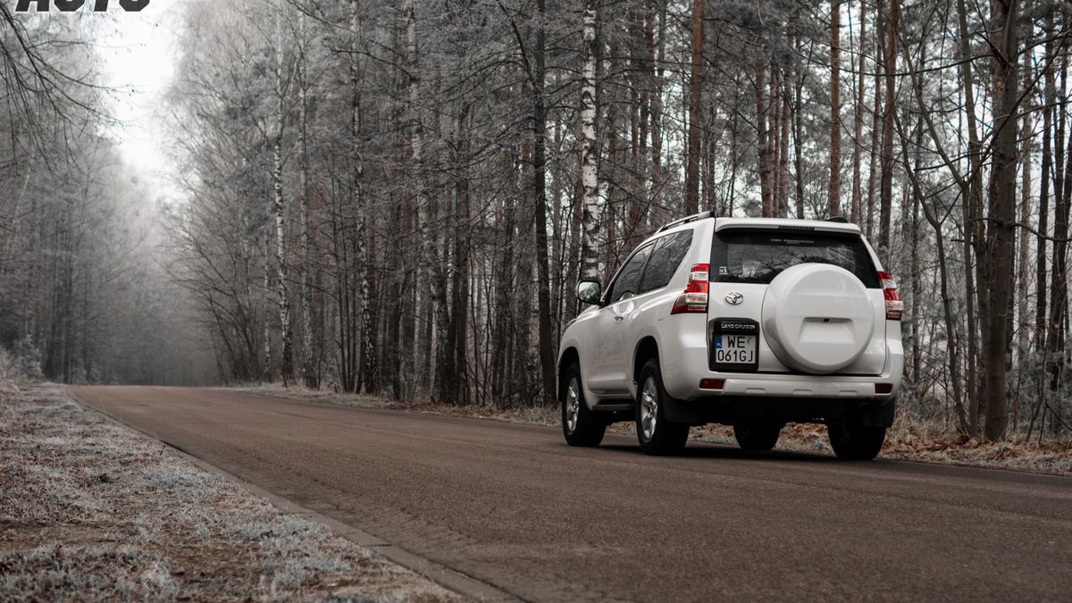 Zdjęcie ilustracyjne do artykułu