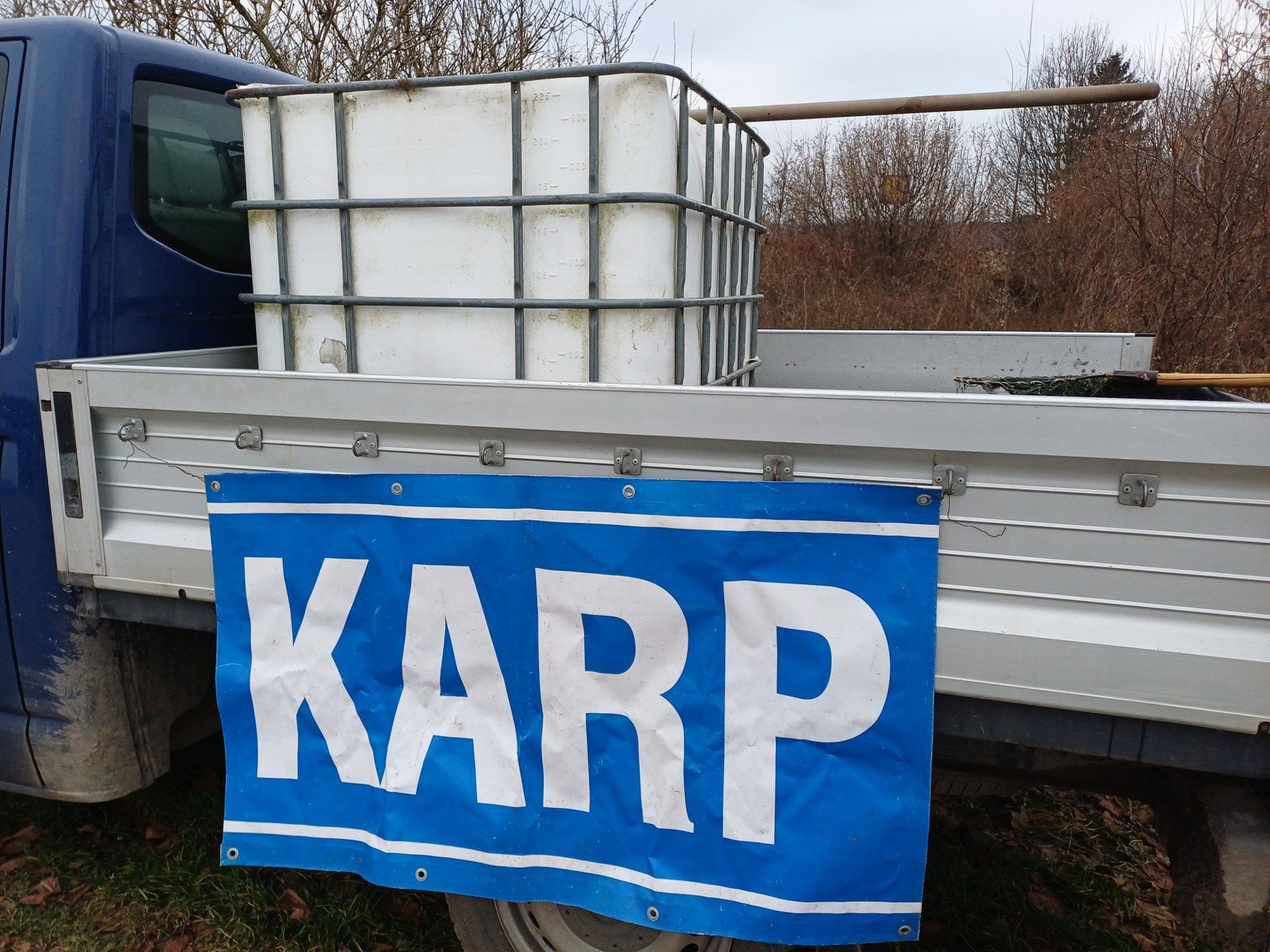 W sprzedaży są już karpie - 28 złotych za kilogram